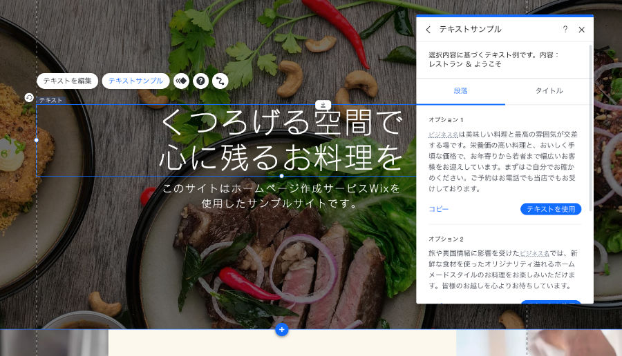 ダミーテキスト入力ウィンドウ